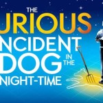 The_Curious_Incident_of_the_Dog_in_the_Night-Time_(play)